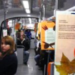 Zabrzańska Miłoszomania W Tramwaju