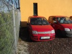 Dscf4328 Zdjęcie: Sprzedaż Samochodów Osobowych Marki Fiat Panda - Tramwaje Śląskie S.a.