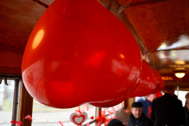 _Dsc0048 Zdjęcie: „Zakochana Bana” Dzień Przed Walentynkami - Tramwaje Śląskie S.a.