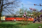 Zdjęcie: Wielkanocny Rozkład Jazdy - Tramwaje Śląskie S.a.