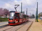 Zdjęcie: Koniec Prac Na Świętochłowickim Odcinku Linii Nr 11 – Powrót Tramwajów Od Chebzia Do Chorzowa - Tramwaje Śląskie S.a.
